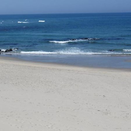 Afife & Insua Beach Apartment Viana do Castelo Dış mekan fotoğraf
