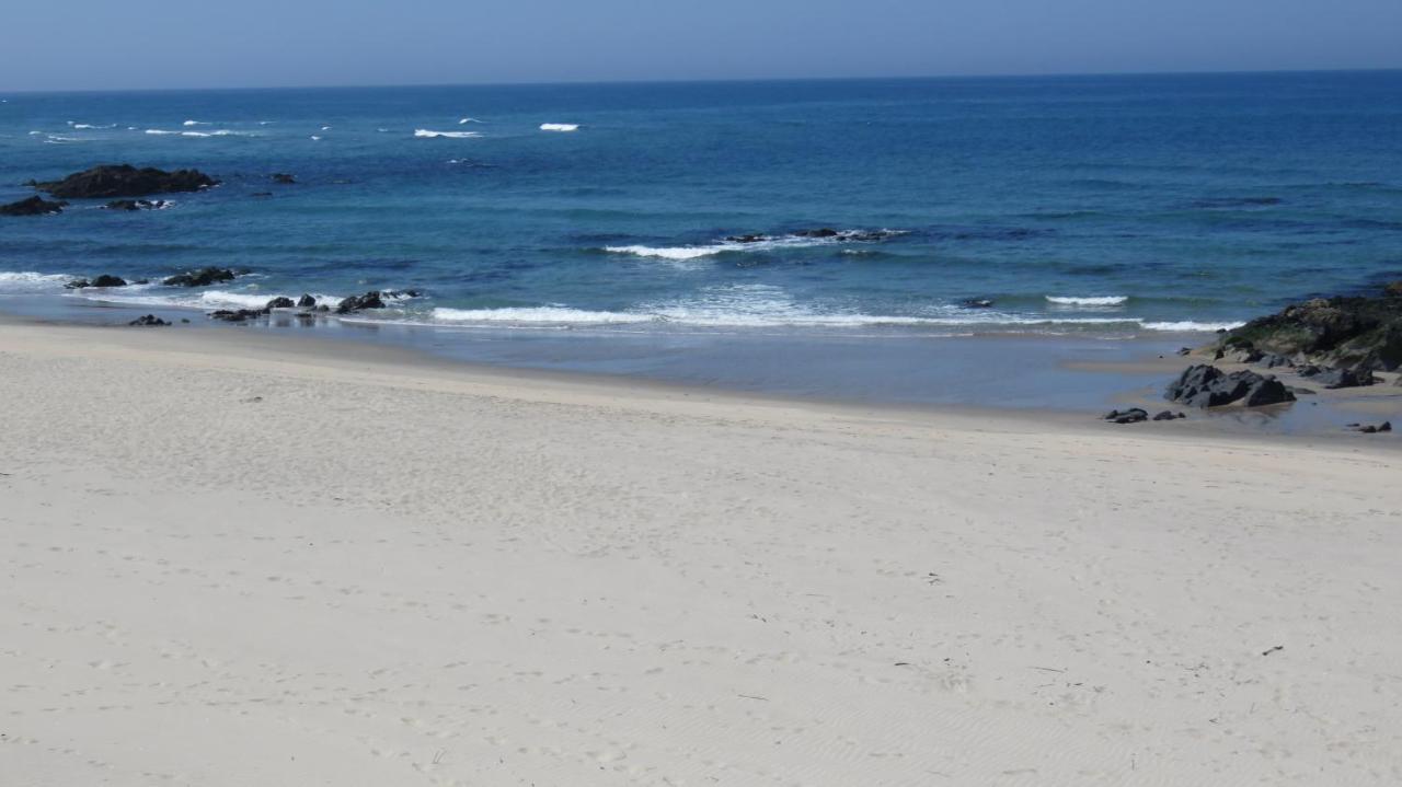 Afife & Insua Beach Apartment Viana do Castelo Dış mekan fotoğraf